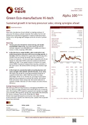 Sustained growth in ternary precursor sales; strong synergies ahead