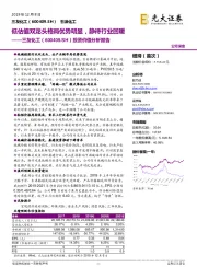 投资价值分析报告:低估值双龙头格局优势明显,静待行业回暖
