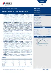 深度研究报告：电踏车龙头供应商，全球布局增长强劲