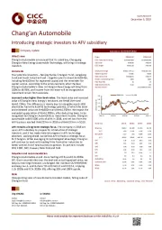 Introducing strategic investors to AFV subsidiary