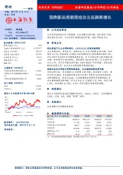 强势新品周期推动自主品牌高增长