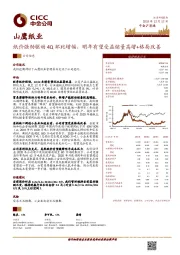 纸价强劲驱动4Q环比增幅，明年有望受益销量高增+格局改善