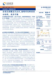 全球反射膜龙头企业,持续布局新型显示材料,成长可期
