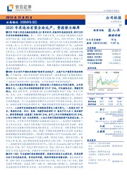 2020年采选冶有望全面达产，资源潜力雄厚