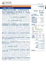 老牌铜矿龙头活力焕发，打开新的成长空间