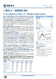 子公司北欧纸业拟于境外上市，增强海外业务核心竞争力