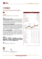 看好沸石和OLED材料快速增长