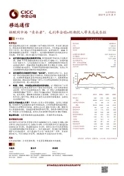 物联网市场“卖水者”，毛利率企稳+短期投入带来高成长性