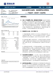 动态研究：电动化重塑行业结构，更新期带来利润弹性