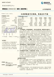 加码新能源汽车领域，高速成长可期