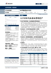 大平价时代优质运营商资产