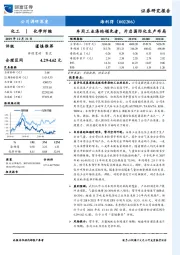 车用工业涤纶领先者，开启国际化生产布局