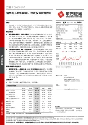 销售龙头地位稳固，投资权益比例提升