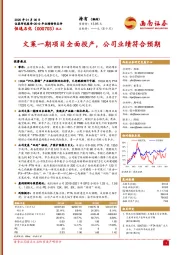 文莱一期项目全面投产,公司业绩符合预期
