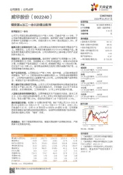 锂资源&加工一体化的锂业新秀