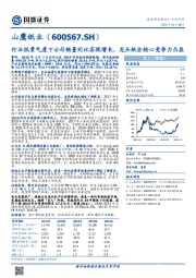 行业低景气度下公司销量同比实现增长，龙头纸企核心竞争力凸显