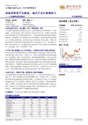 三利谱深度研究报告:面板材料国产化提速,偏光片龙头振翅欲飞