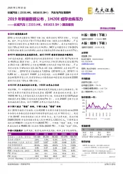 跟踪报告：2019年销量数据公布，1H20E或存去库压力