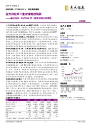 投资价值分析报告：全力以赴第三主业锂电池隔膜