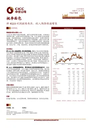 料4Q19利润继续承压，收入保持快速增长