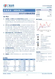 2019年业绩略超预期