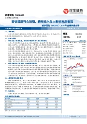 2019年业绩快报点评:营收增速符合预期,费用投入加大影响利润表现