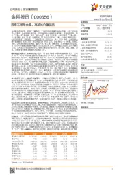 西南王谋局全国、高成长价值低估