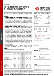 19年业绩符合预期，长期看好赛道优、壁垒高的国产碳纤维龙头