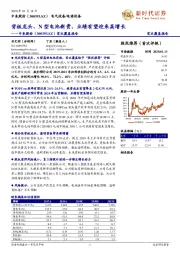 首次覆盖报告:背板龙头、N型电池新贵,业绩有望迎来高增长