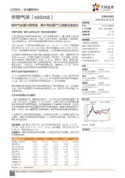特种气体国内领导者,乘半导体国产化浪潮加速成长