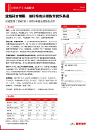 2019年度业绩预告点评：业绩符合预期，碳纤维龙头领跑军民双赛道