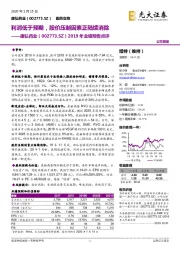 2019年业绩预告点评：利润低于预期，股价压制因素正陆续消除