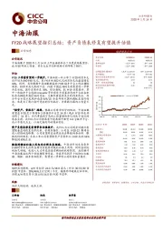 FY20战略展望指引总结；资产负债表修复有望提升估值