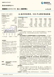 Q4盈利再创新高，2020年业绩有望超预期