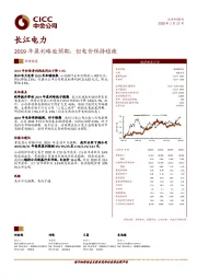 2019年盈利略逊预期，但电价保持稳健