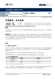跟踪点评：定增落地，龙头起航
