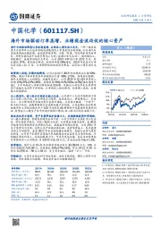 海外市场驱动订单高增，业绩现金流均优的核心资产
