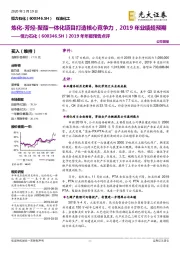 2019年年报预告点评:炼化-芳烃-聚酯一体化项目打造核心竞争力,2019年业绩超预期