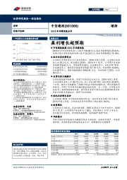 2019年业绩快报点评：盈利增长超预期