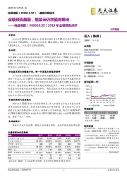 2019年业绩预告点评：业绩预告靓丽，整装云仍然值得期待