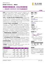 2019年业绩快报点评：草铵膦价格有望企稳，关注公司长期价值