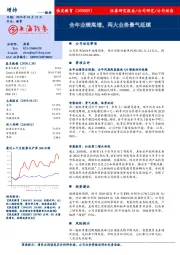 全年业绩高增,两大业务景气延续