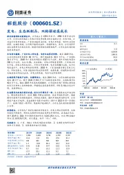 发电、生态纸制品，双轮驱动高成长