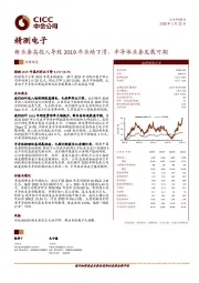 新业务高投入导致2019年业绩下滑，半导体业务发展可期