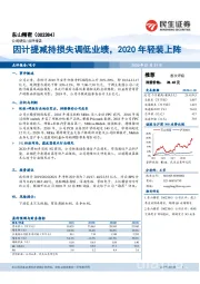 因计提减持损失调低业绩，2020年轻装上阵