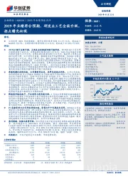 2019年业绩预告点评：2019年业绩符合预期，研发&工艺全面升级，拐点曙光初现