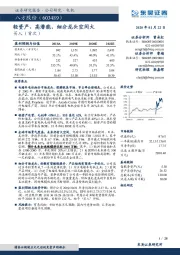 轻资产、高潜能，细分龙头空间大