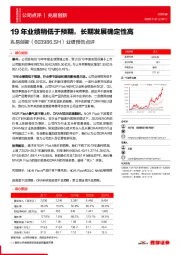 业绩预告点评:19年业绩稍低于预期,长期发展确定性高