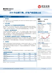 2019年业绩下降，扩张产能迎接立法