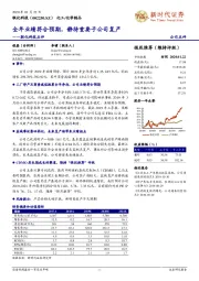 联化科技点评：全年业绩符合预期，静待重要子公司复产